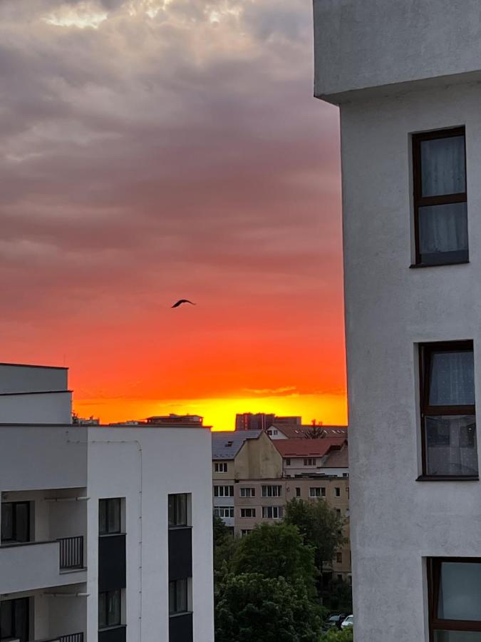 P&D Paradis Apartment - Bed and Breakfast Şelimbăr