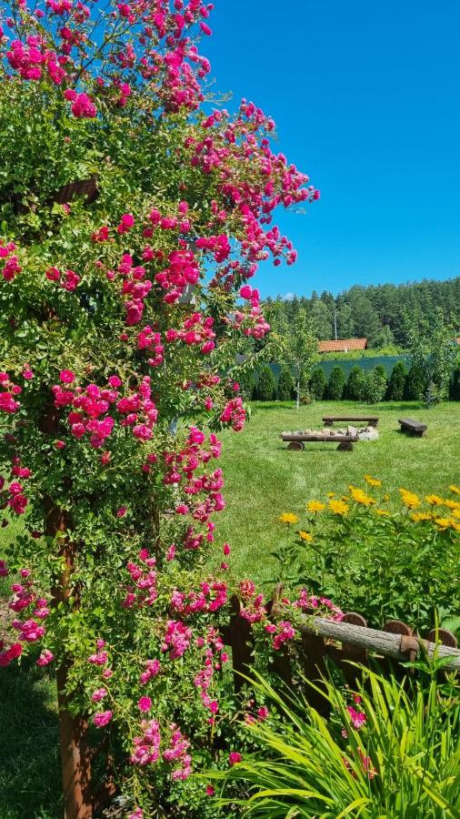 Dziupla u Szpaka - B&B