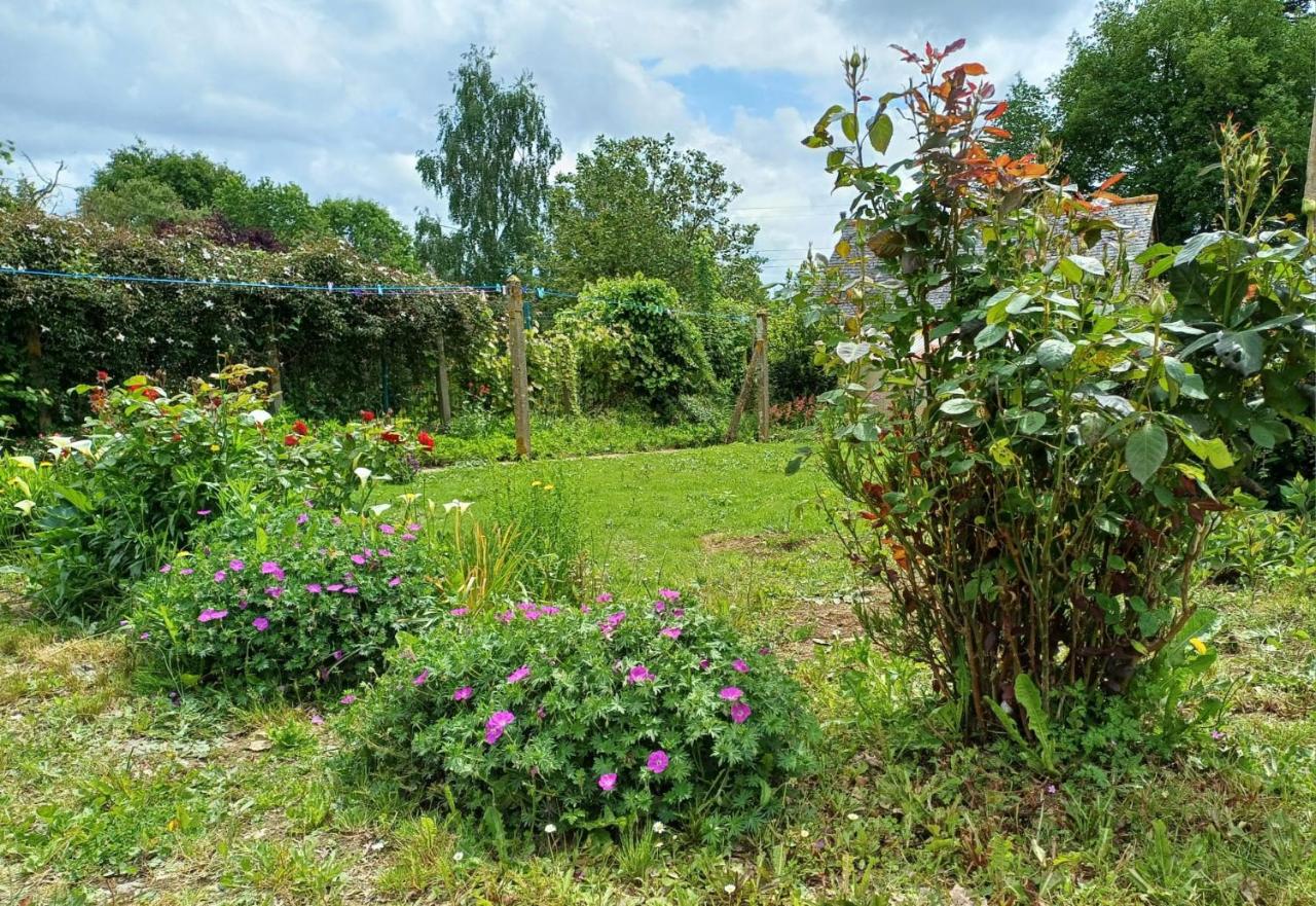 Charmante maison, entière au calme, sud avec jardin - B&B Chanteloup