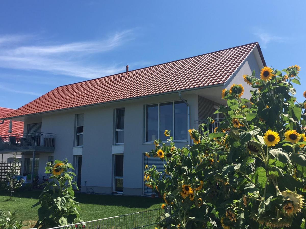 Ferienwohnen im Ziegelfeld - B&B