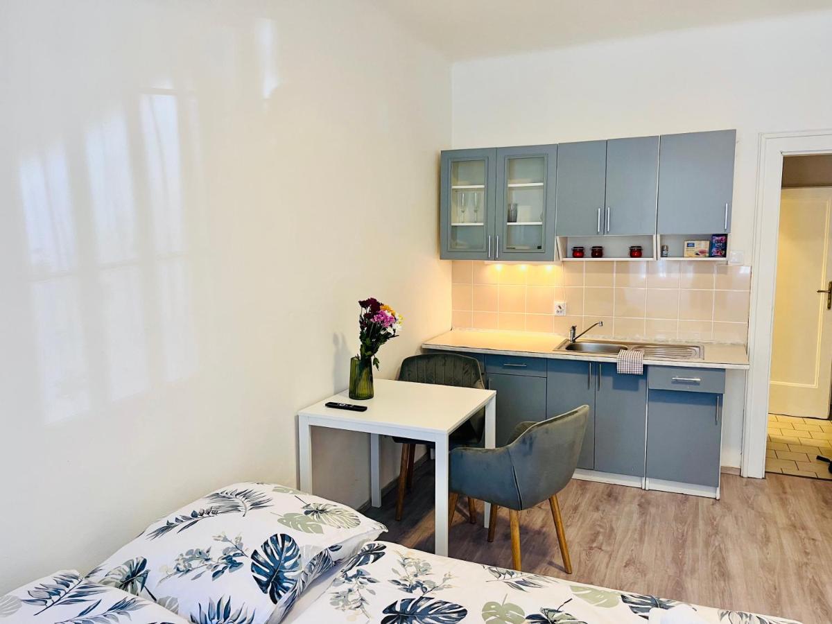 Apartment Biskupcova in Prague - B&B