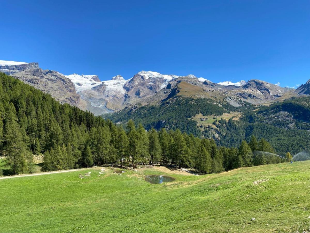 Accogliente casa in montagna - B&B