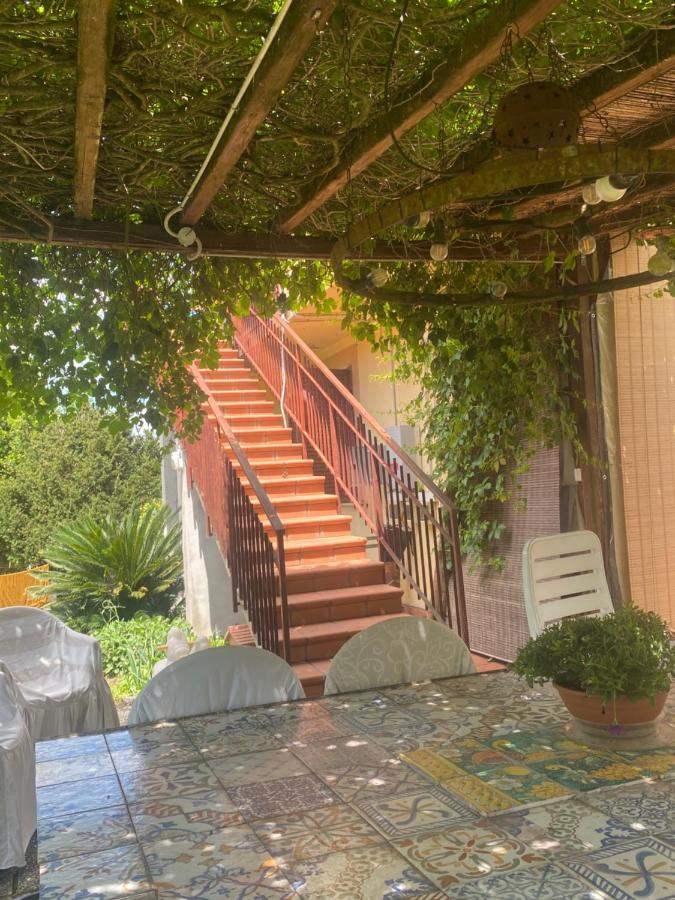 Corelli & Company Rose Musica e Libri - B&B Santa Marta