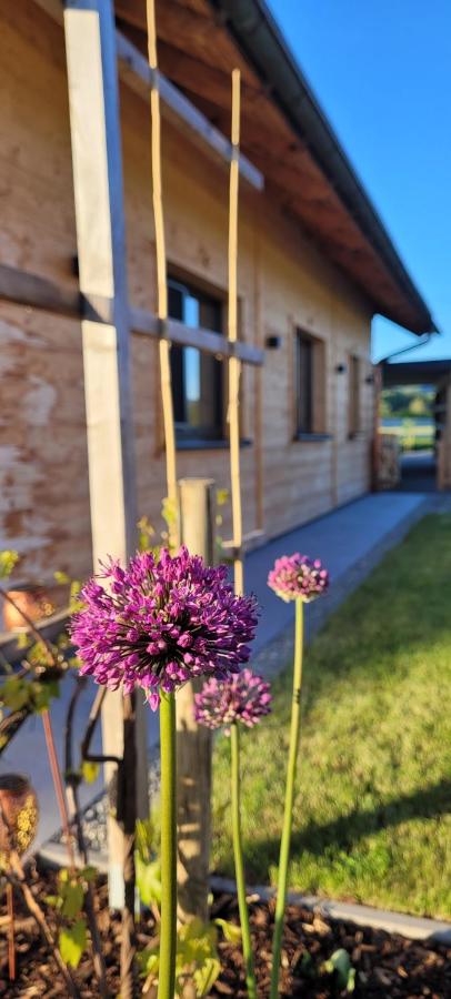 Dasis home - B&B Innerschwand