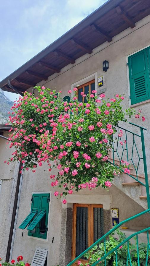 CASA MARIA lafinestrasulgarda - Bed and Breakfast Limone sul Garda