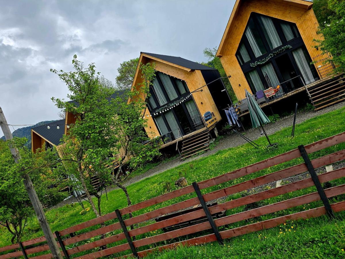 Chalet Resort Weekend BORJOMi - B&B