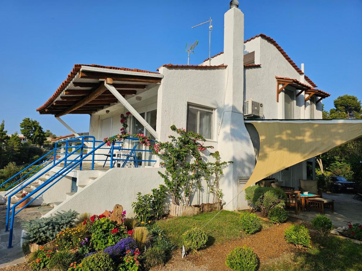 Aelia House Chalkidiki - B&B