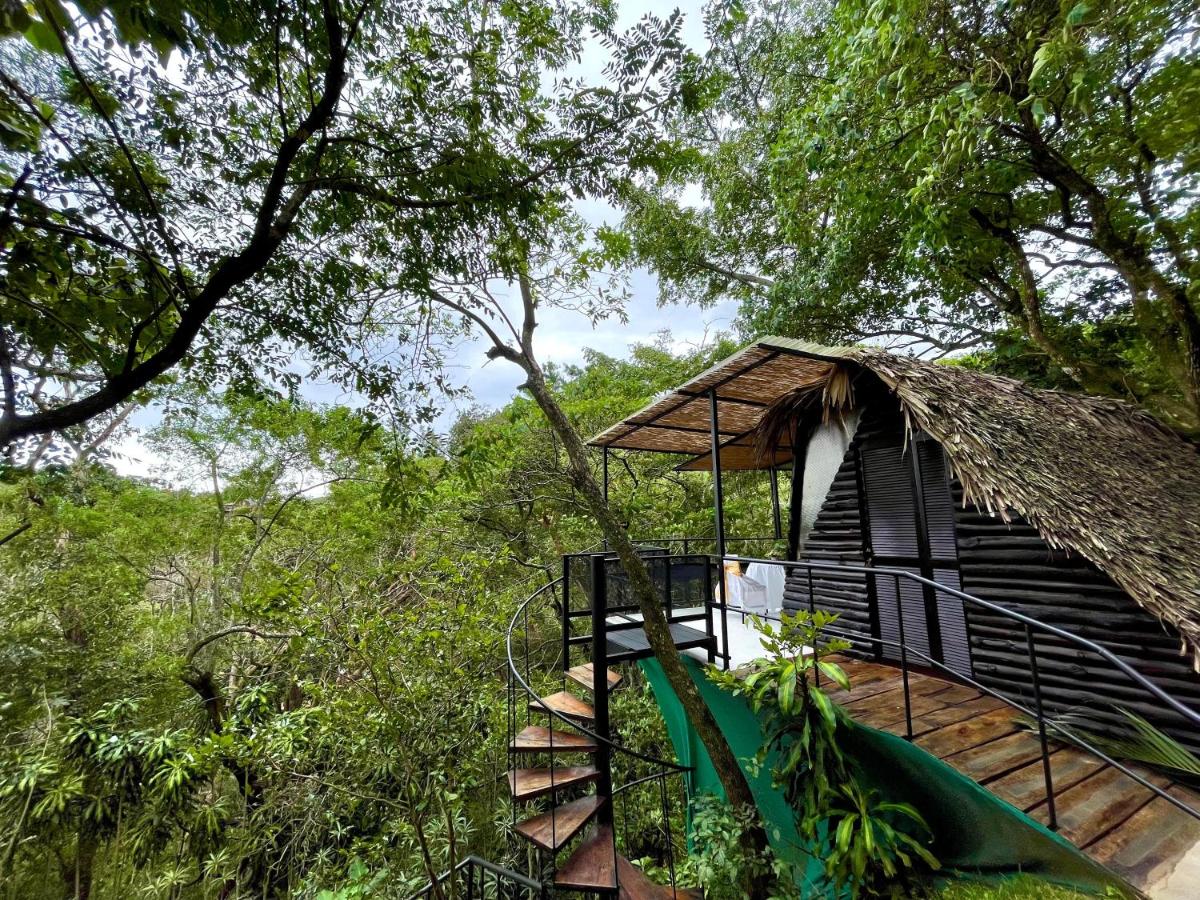 Finca Jardín de Lourdes - B&B