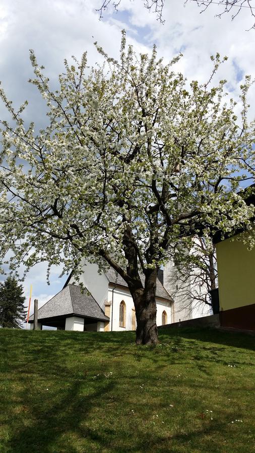 Ferienwohnung Linde - B&B Faak am See