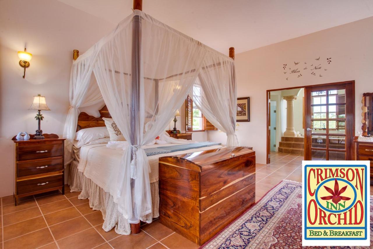 Suite Deluxe con cama extragrande