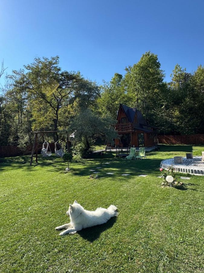 Kira's fairy-tale cottage - B&B