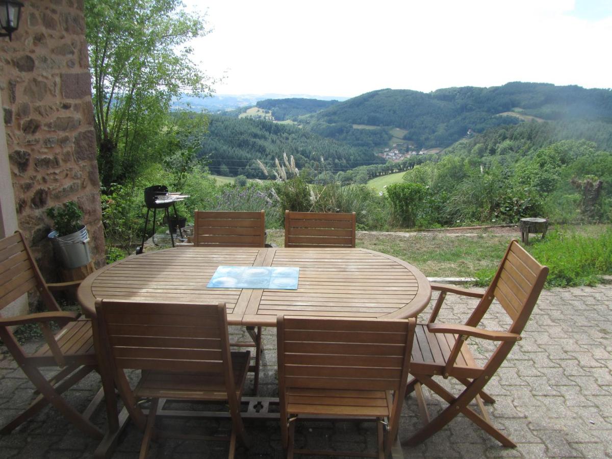 Maison dans le Beaujolais vert - B&B Thizy-les-Bourgs
