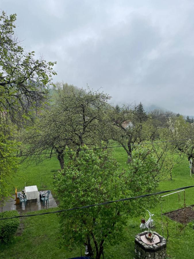 The land of the appletrees - B&B Bran