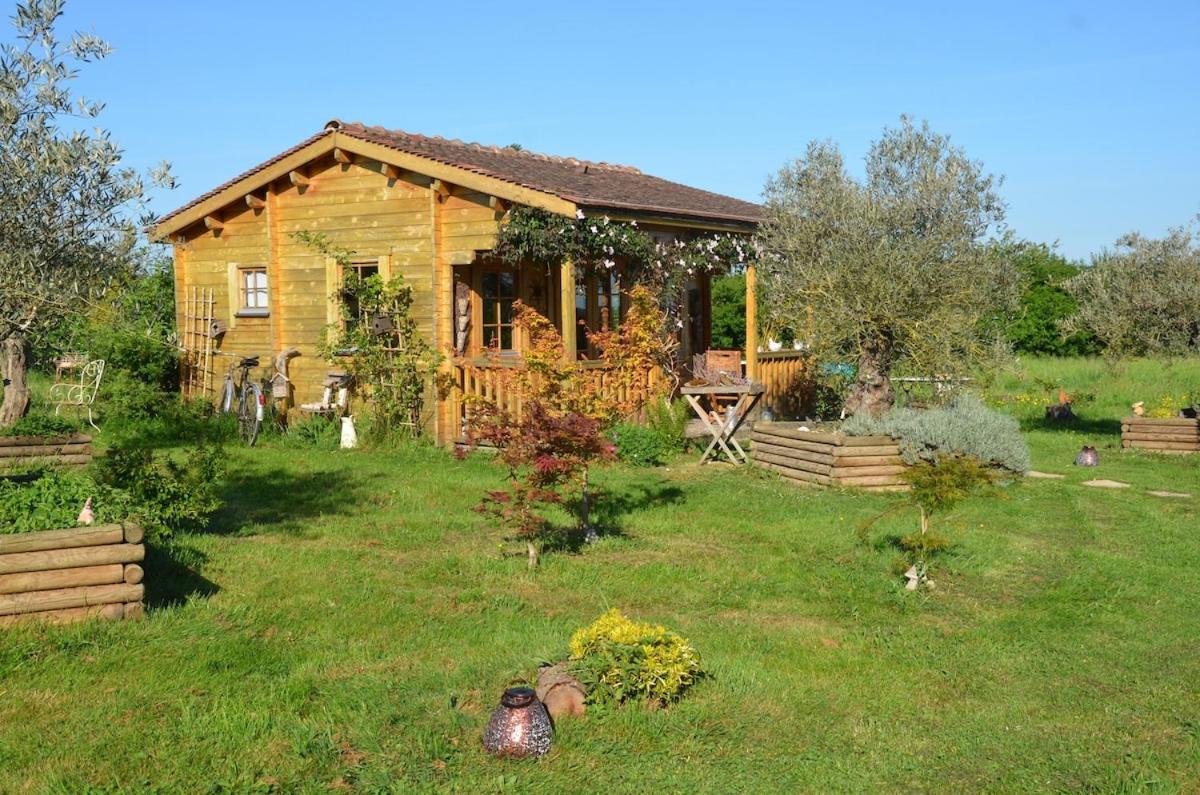 chalet bois pleine campagne à Pontigny - B&B