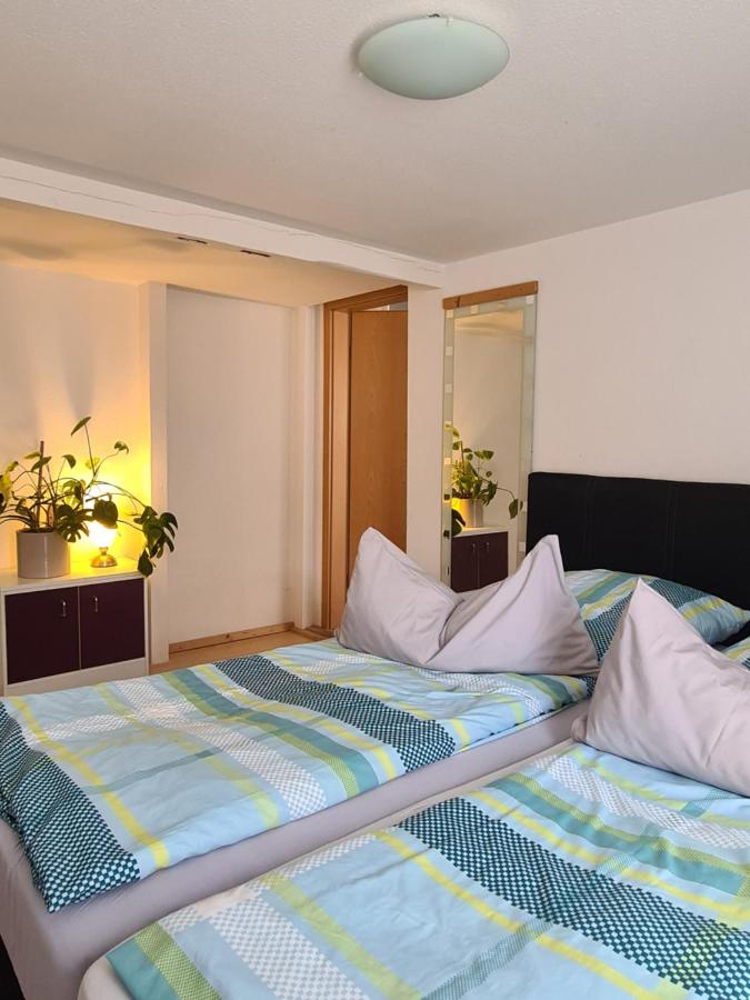 Appartement 1 Chambre