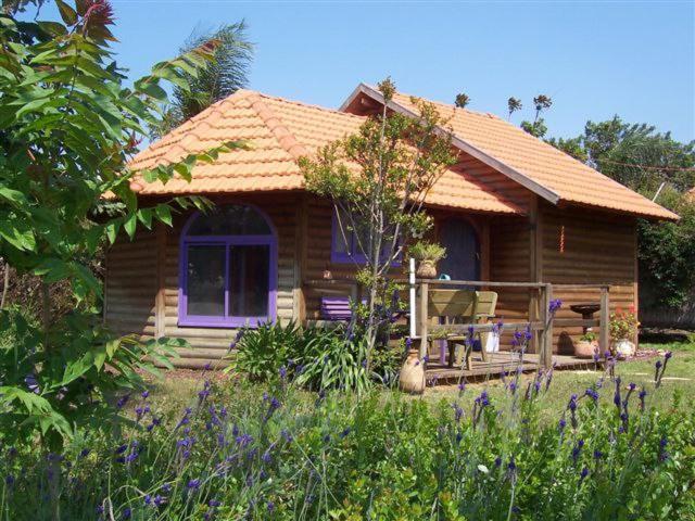 The calm west - B&B