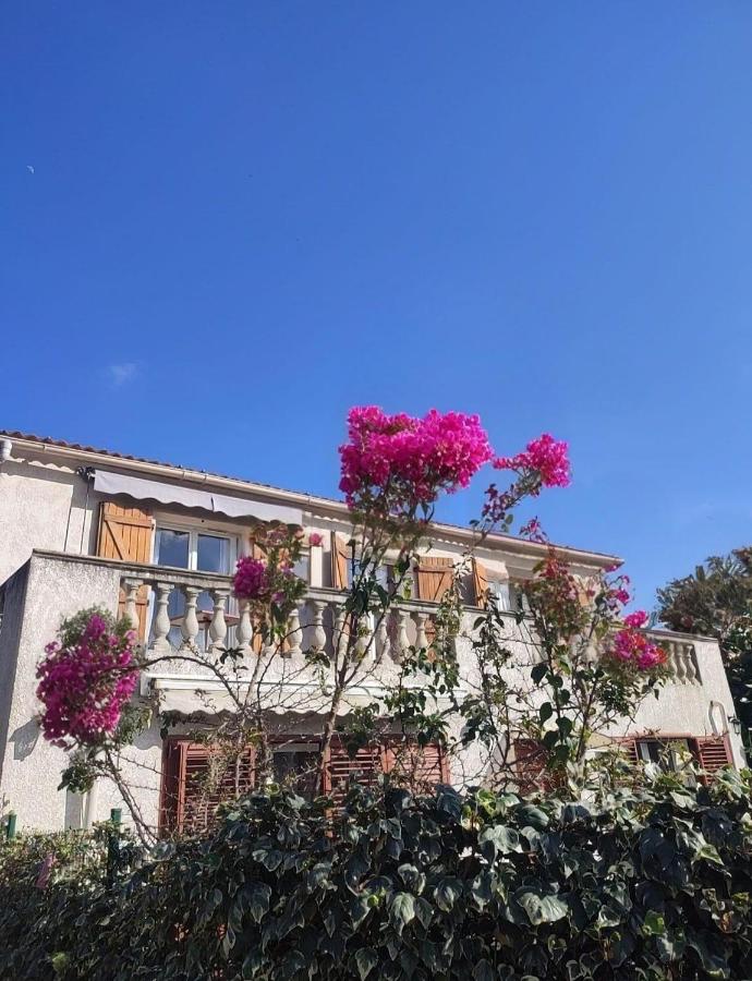 Jolie location chez Philippe & Karine - B&B Linguizzetta