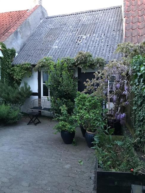 Byhus i Faaborg - B&B