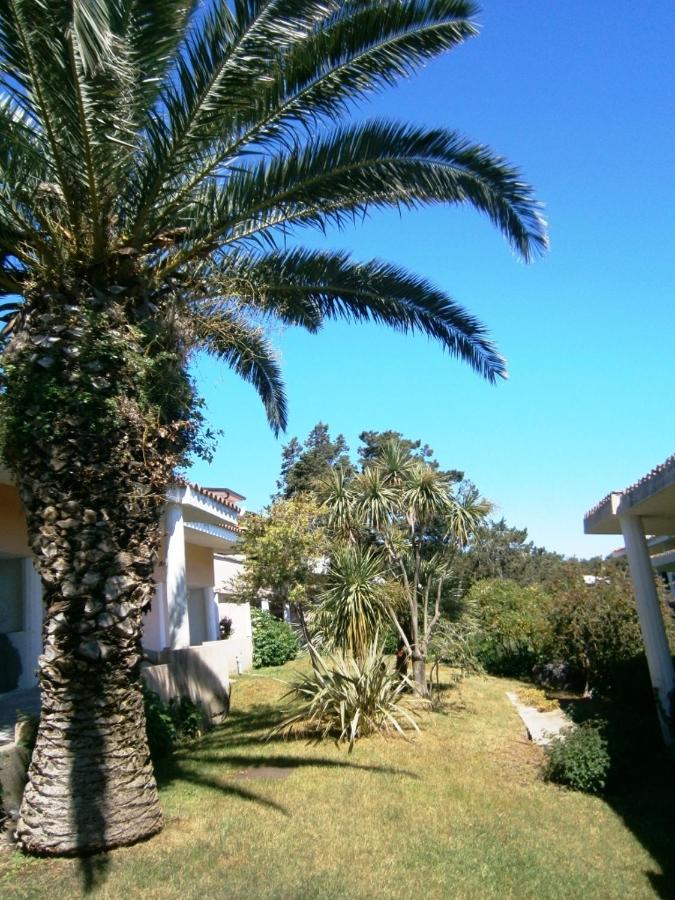 Casa Juniperus - B&B Porto Rotondo