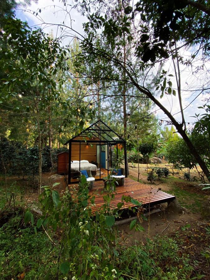 Bungalow Deluxe con Vista Giardino