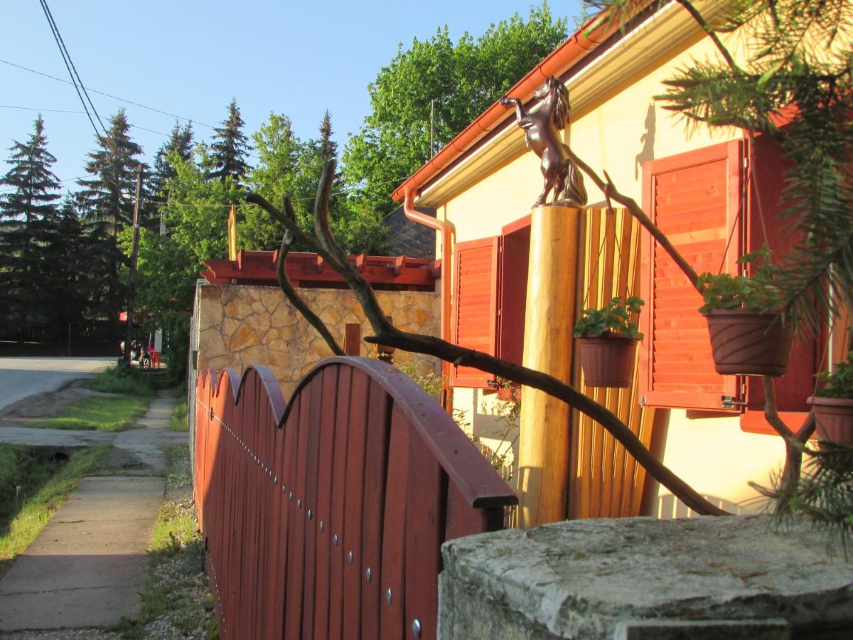Viki Vendégház - B&B