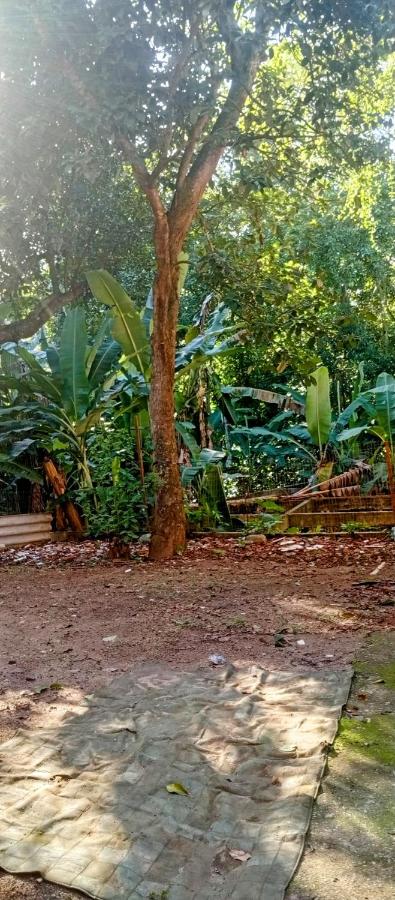 Cantinho da Serra - B&B