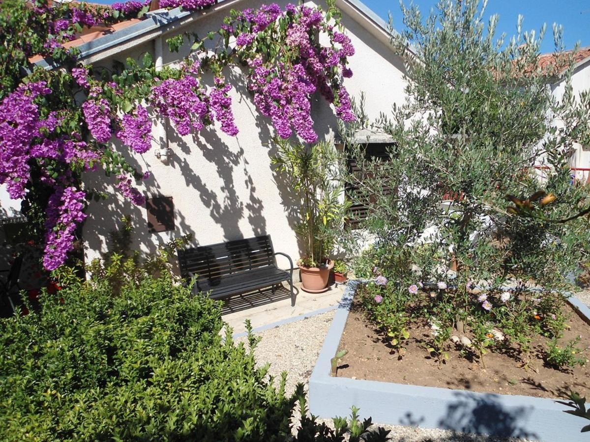 Apartments Aurora - Bed and Breakfast Pomer