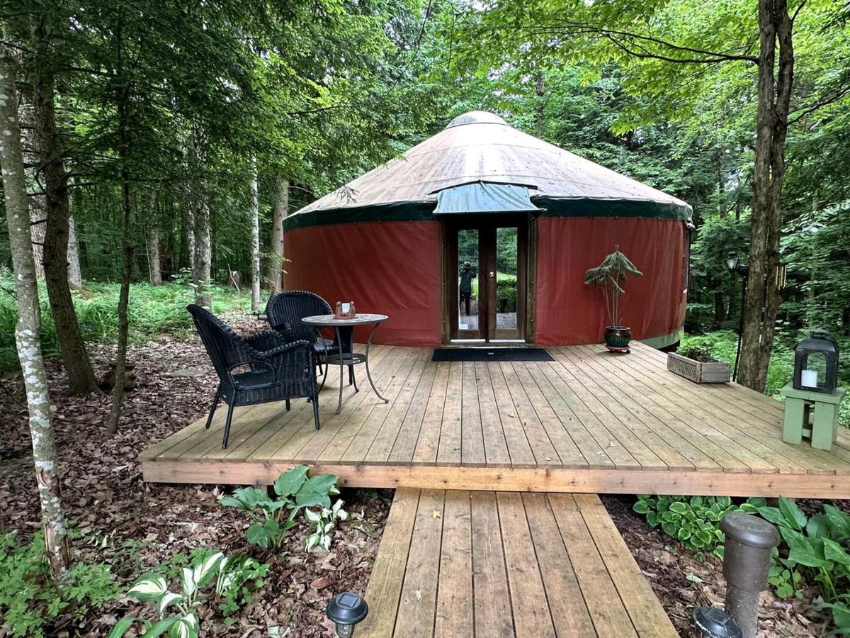 Luxury Yurt Rental Hidden in the Forest near Bristol, Vermont - Chambres d'hôtes New Haven