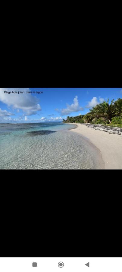Ti Kaz moulen de Bwa Jolan équipé d'une citerne - B&B Sainte-Anne