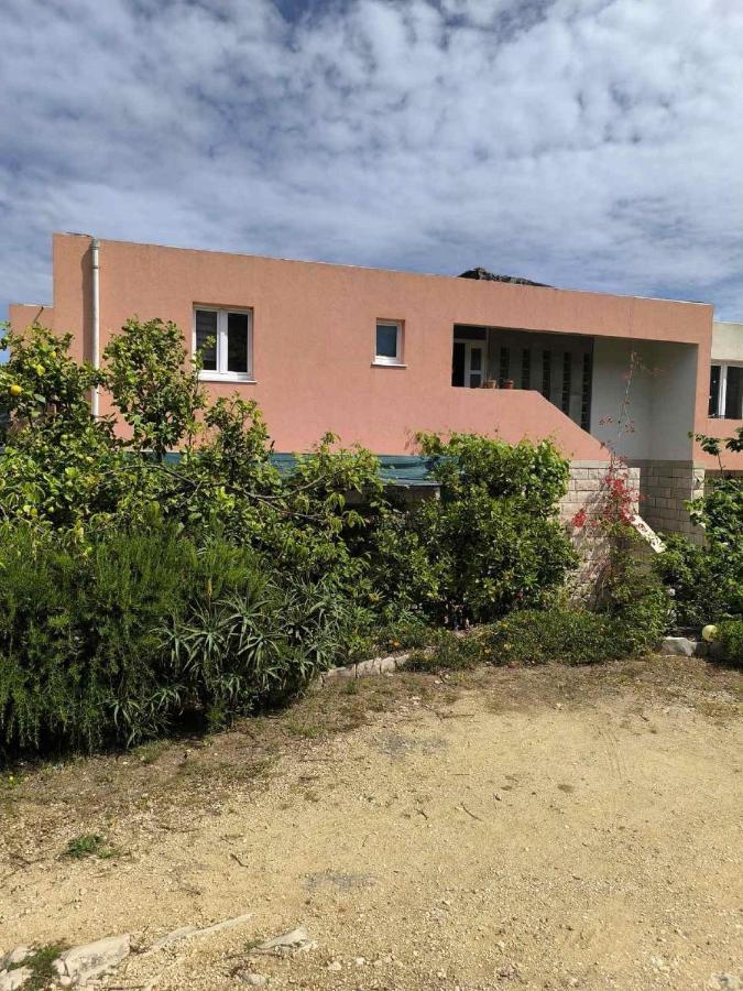 Cozy Apartments Žute, island of Korčula - B&B Curzola