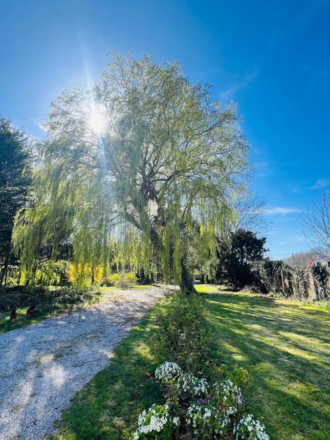 Villa con Vista Giardino