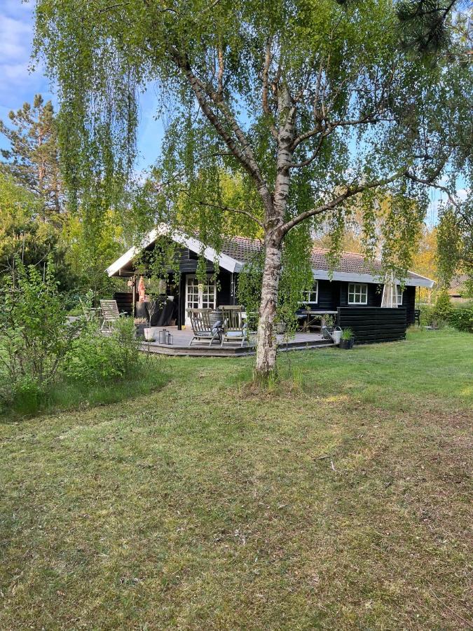 Family Summer House Near Plantation And Beaches - B&B