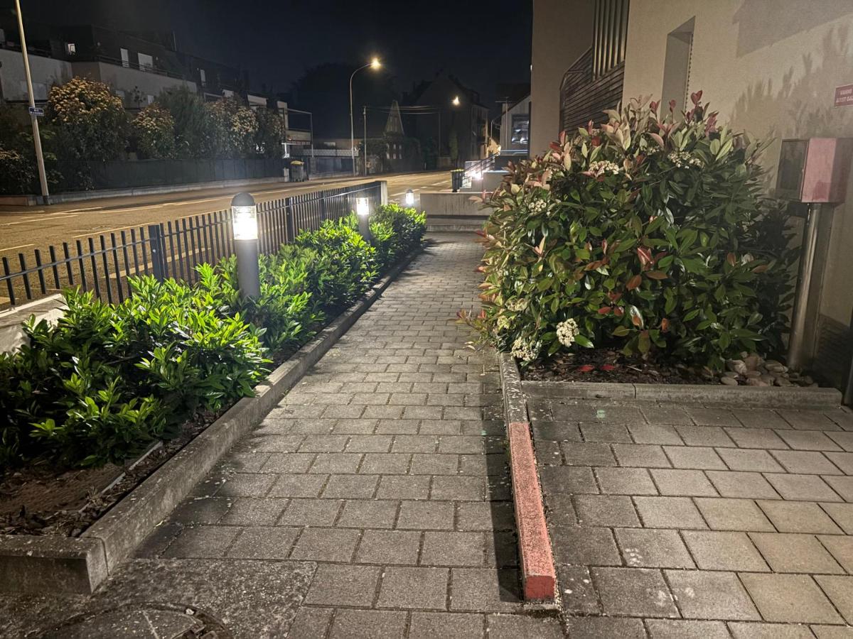 Robertsau, jardin en ville - B&B