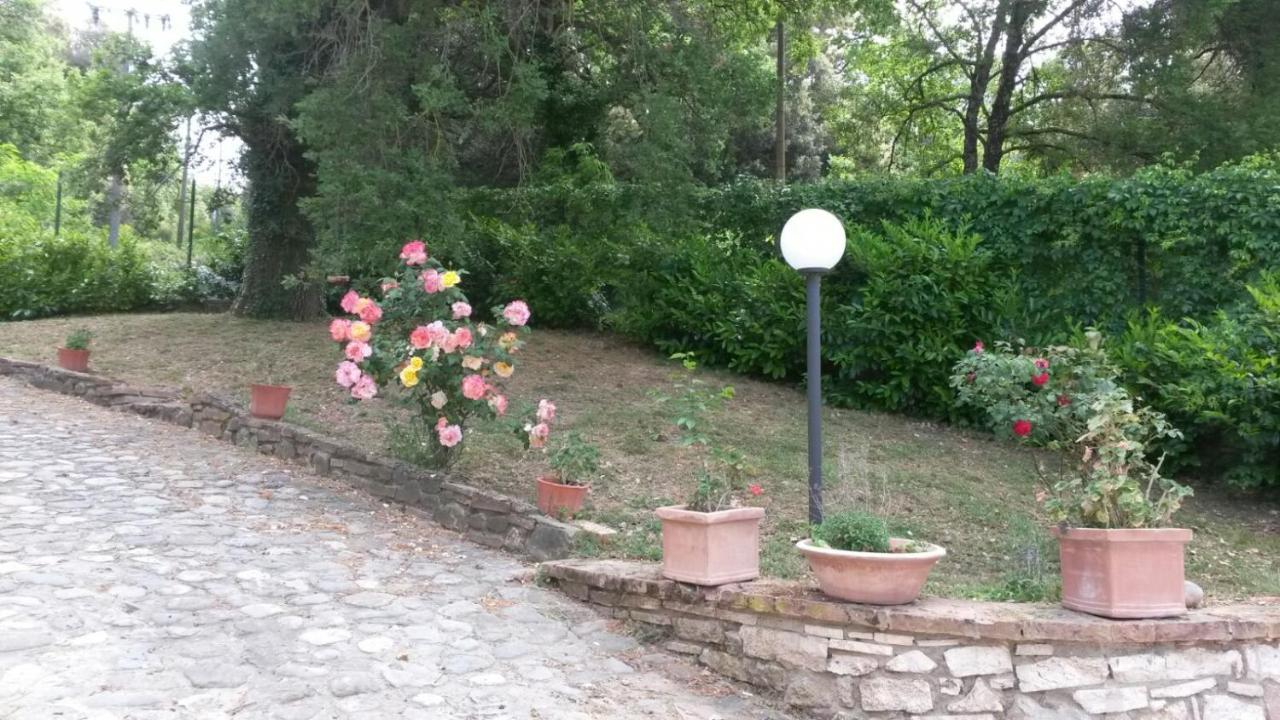 Agriturismo Il Solaio - B&B