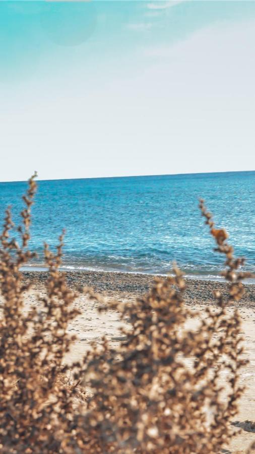 Summer Pearl Paralia Ofrinio - Bed and Breakfast Ofrínion