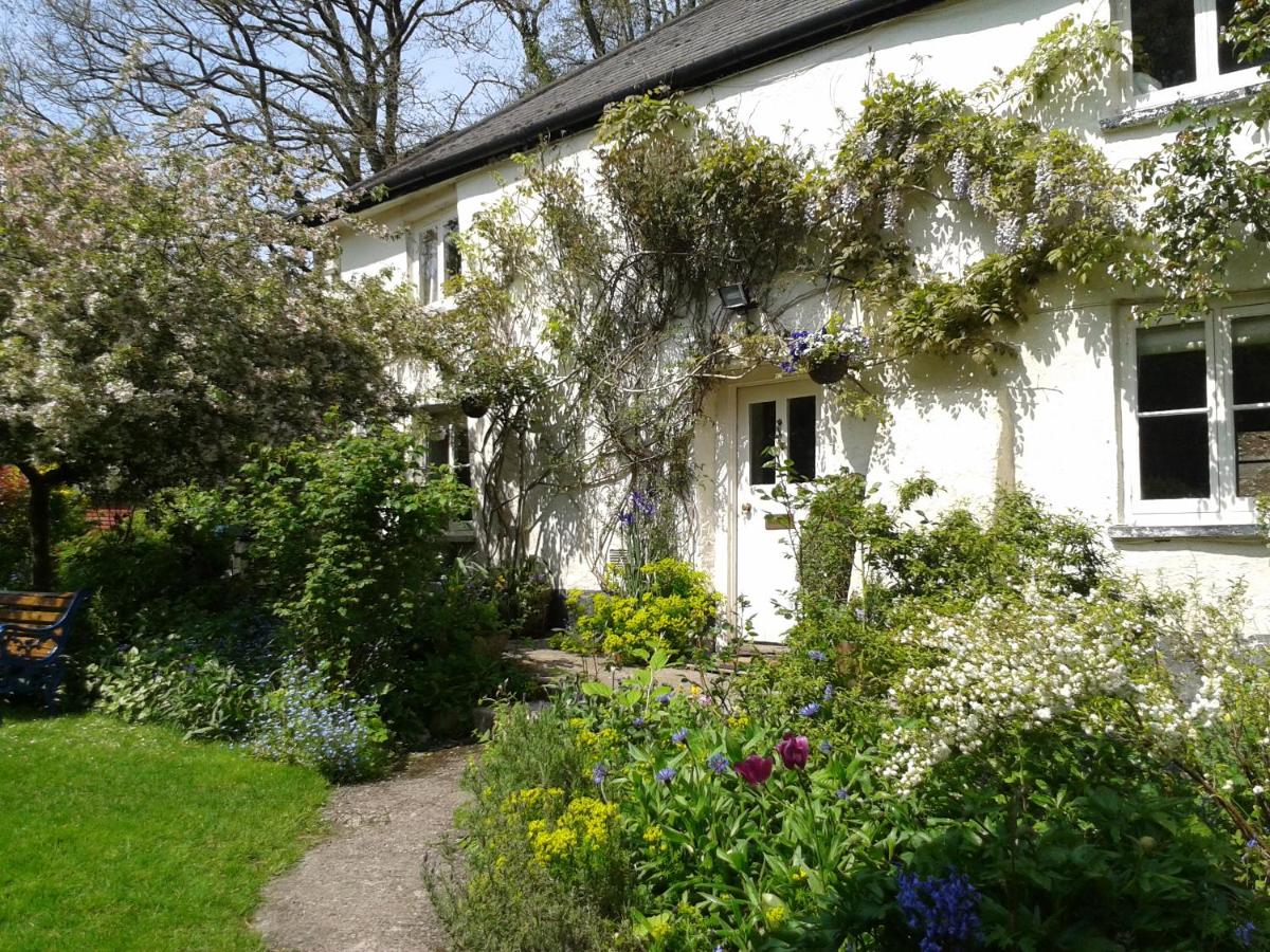 B&B Stawley - Tracebridge Cottage B&B - Bed and Breakfast Stawley