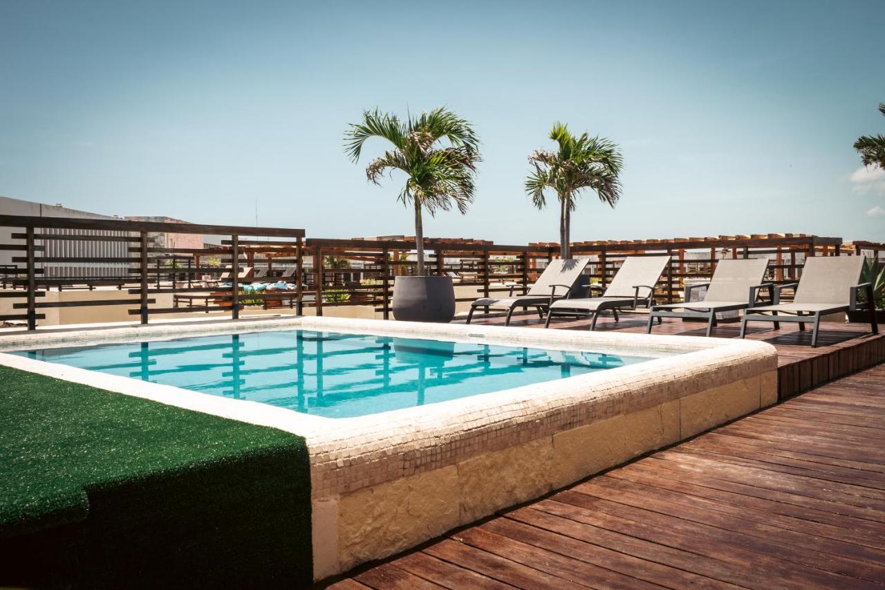 Apartamento de 3 dormitorios Premium