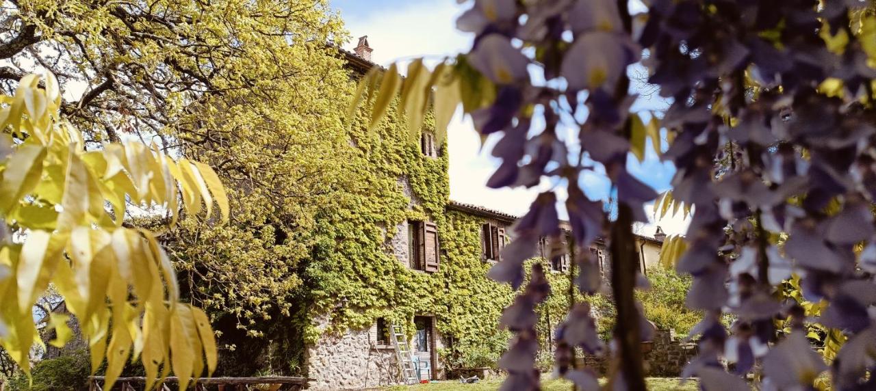 Valle del Tione - B&B Canonica