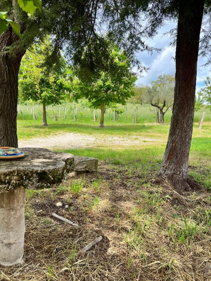 La Fonte B&B - B&B Baranello