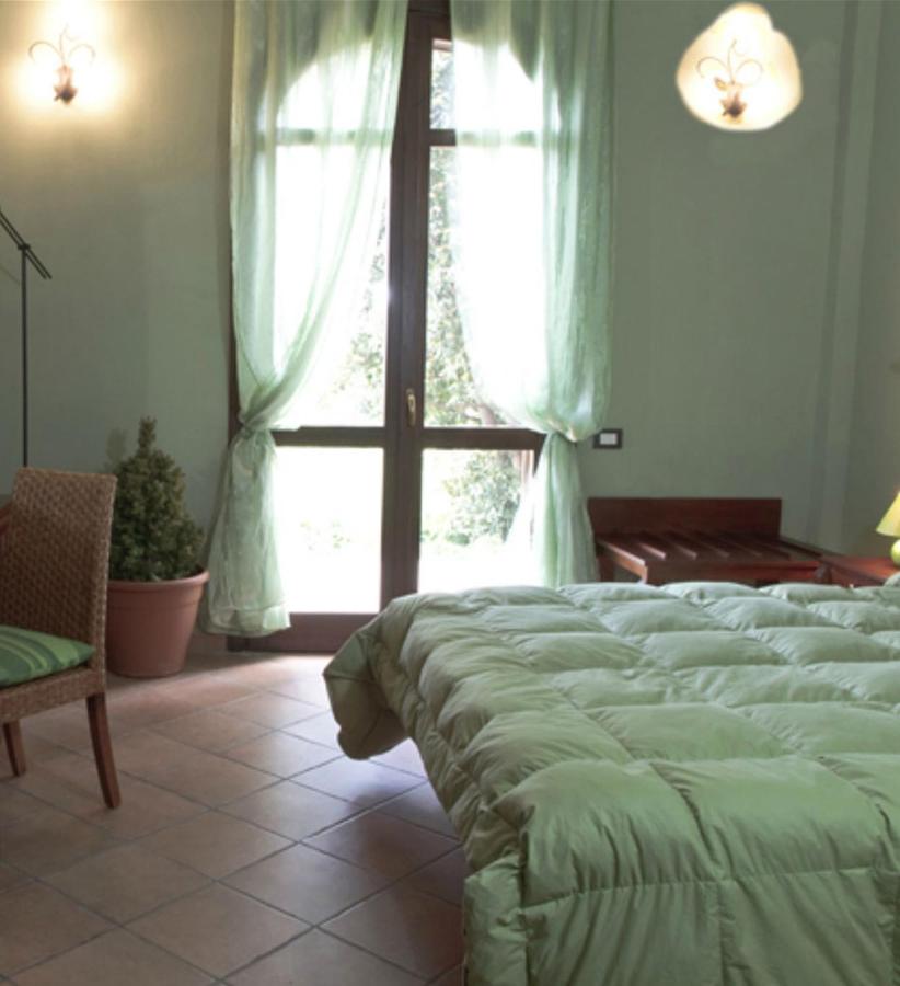 King Room with Garden View