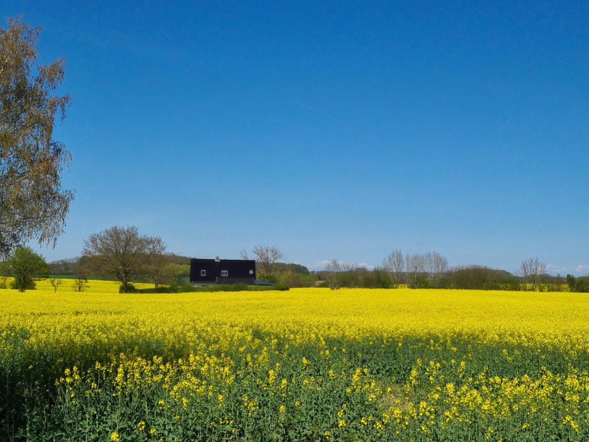 Ferienhaus Loimoos - B&B