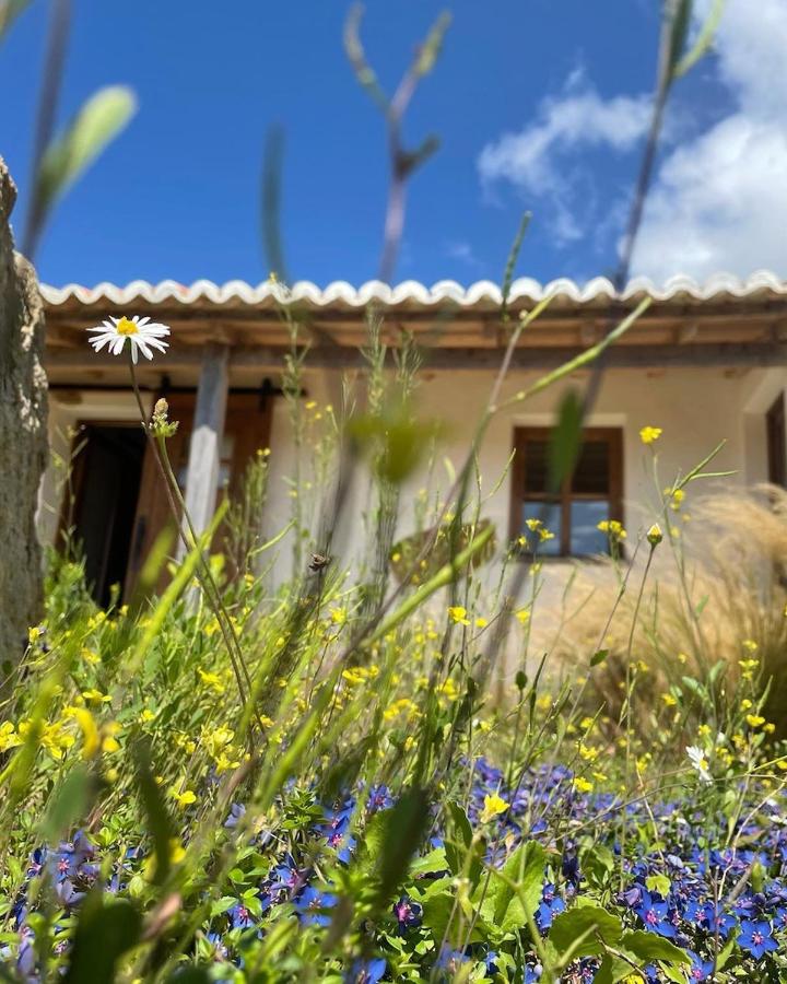 Caso no Campo - Stunning Home By The Sea - B&B Colares