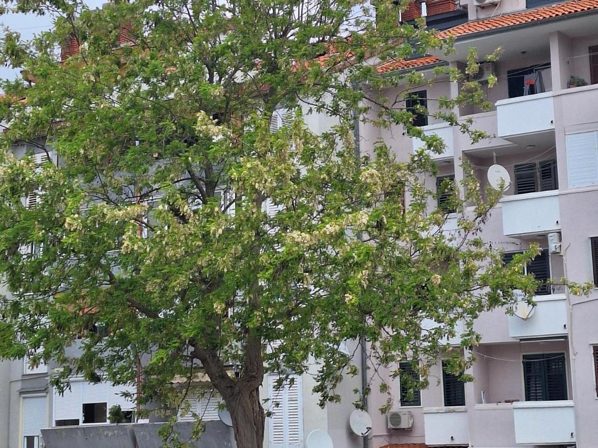 Cozy Condo Rovinj - Ferienwohnung