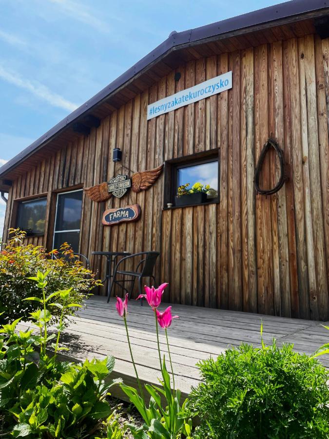 Leśny Zakątek Uroczysko -Apartamenty Nowoczesnej Stodoły - B&B