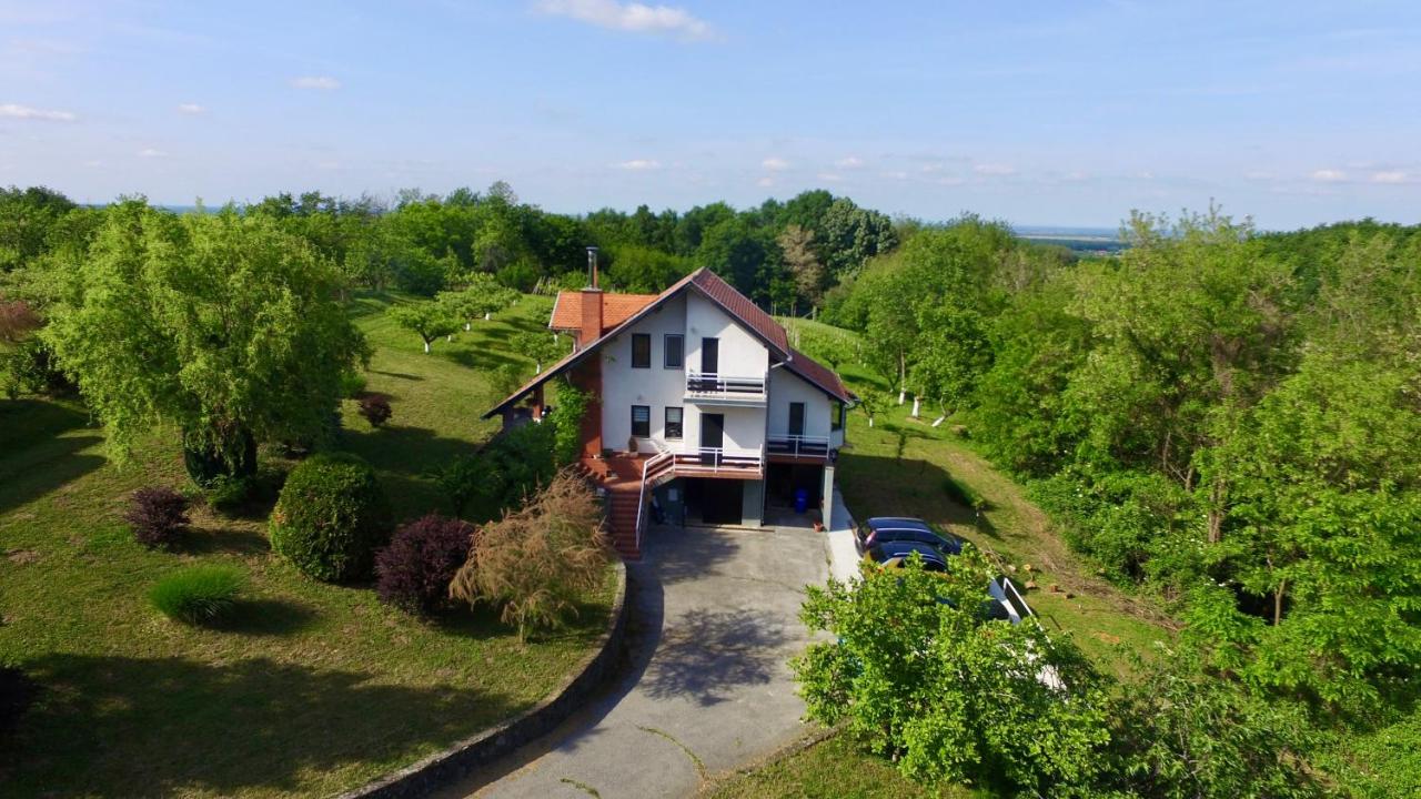 Kuća za odmor "Villa Merkur" - Orahovica - B&B
