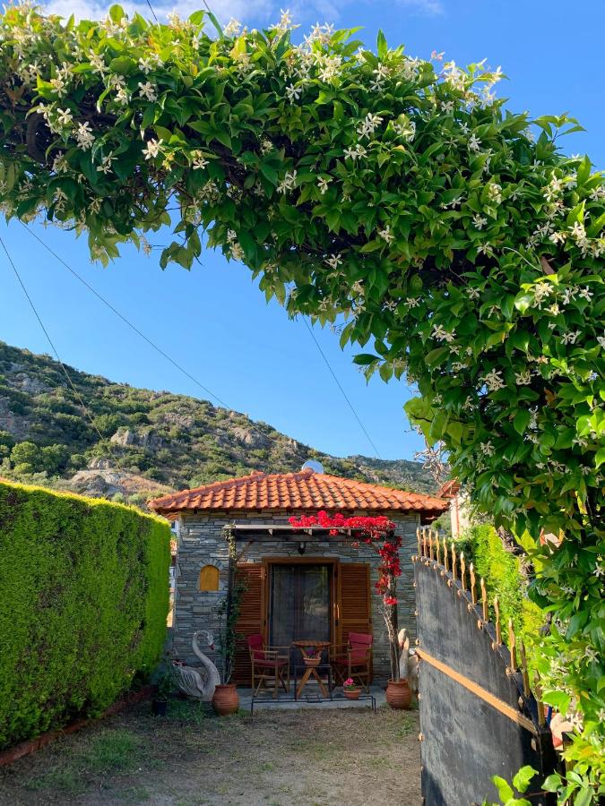 Georgia's House Sykia - B&B Sykiá