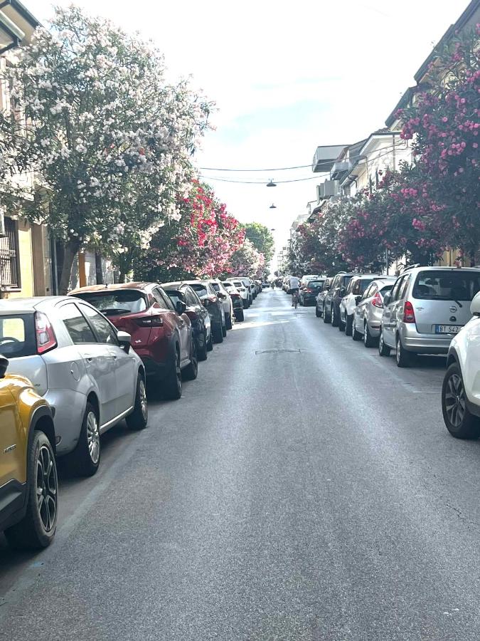 monoviareggioconangolocottura - Ferienwohnung Viareggio