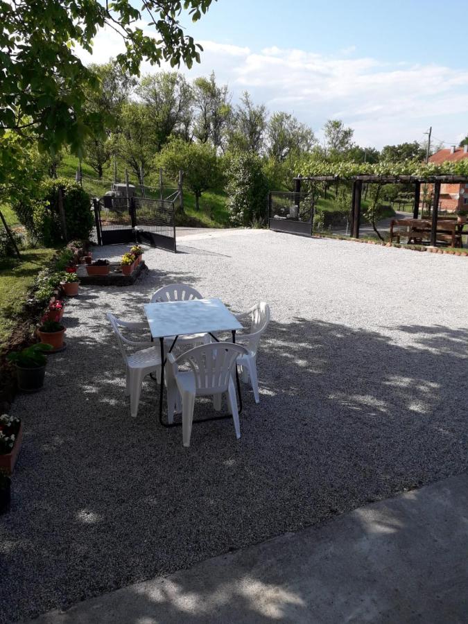 Apartman-Guest House "Oliver" - Bed and Breakfast