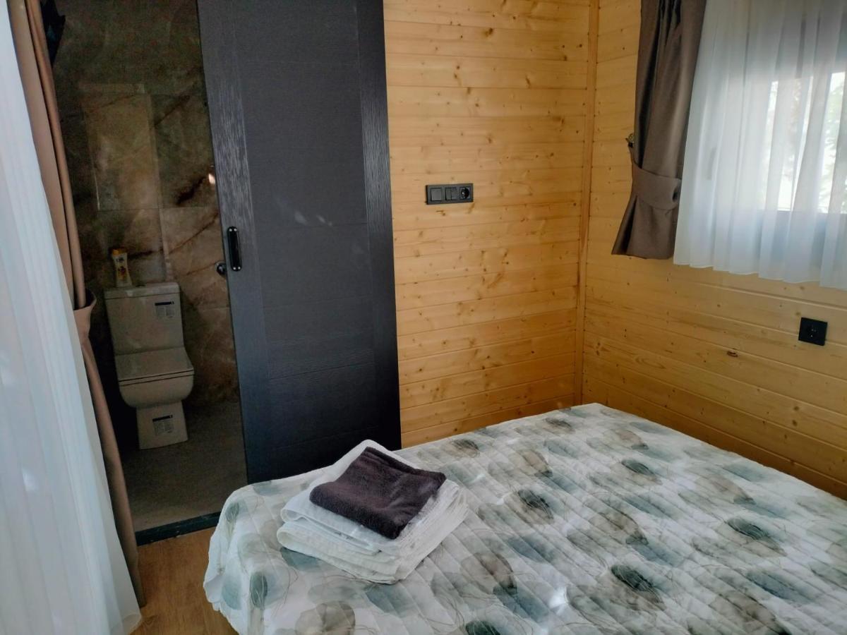 Mobile Home