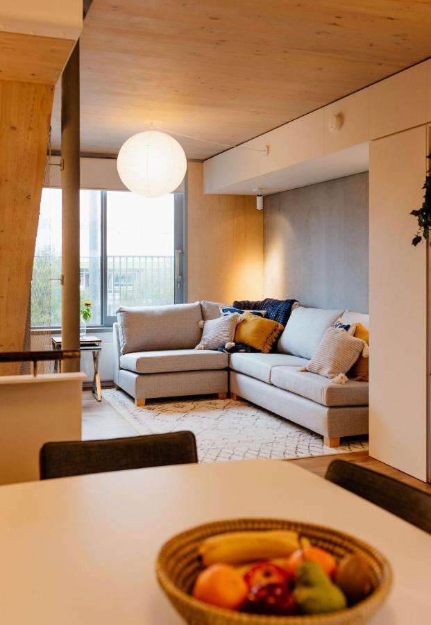 Spacious 2BR Oasis in Central Wellington w Terrace - B&B
